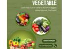 Natural fruits and vegetables