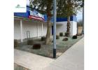 Professional Commercial Landscaping Near Me for Business Appeal