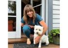 Best Dog Hair Cutting Services at Clean Canines