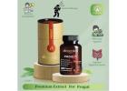 Buy Progut Capsule Online – Natural Gut Care by Aksvedas
