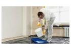 Offering Professional Painting Services for Homes and Businesses in Carlisle