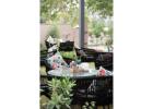 Rooftop restaurant near malviya nagar Jaipur