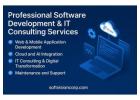 Professional Software Development & IT Consulting Services