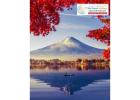 Tokyo to Kyoto Travel Smart with Japan Tour Packages
