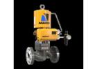 Industrial Control Valves | Mascot Valves