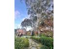 Professional Residential Tree Removal Services – Safe, Fast & Affordable