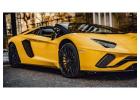 Mr. Lamborghini – Unleash the Power of Luxury