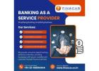 Banking as a Service Provider | Software as Service Provider
