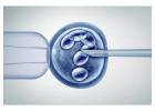Finding the Best IVF Doctor in Dubai