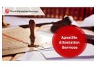 Experienced Efficient Expert Vietnam Embassy Attestation