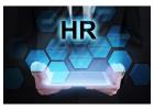Best Human Resource Management Software in India | HRMS Solution by Elite Mindz