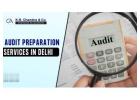 Expert Audit Preparation Services in Delhi