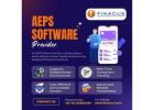AEPS Software Provider | Finacus Solutions