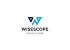 Professional Bookkeeping & Accounting Services – Wisescope Consultant