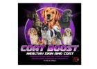 Best Dog Skin Supplements for Healthy Coat | K9 Performance
