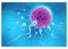 Best IVF Centre in Hyderabad