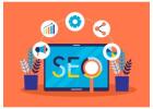 Best SEO Service Provider in Delhi – Professional SEO Services to Grow Your Business