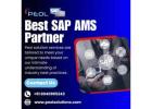 SAP Partner in Bangalore | SAP AMS Partner in Bangalore