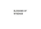 Fresh Seasonal Flowers from Your Local Wyndham Florist