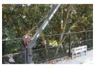 HES Cranes – Trusted Davit Cranes for Safe and Smooth Operations