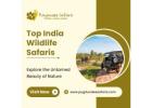 Top India Wildlife Safaris: Explore the Untamed Beauty of Nature