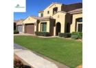 Transform Outdoor Spaces with Commercial Artificial Grass Installation Arizona