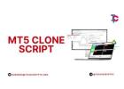 MT5 Clone Script
