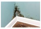 United Environmental Consulting Provides Expert HEPA Filter Services 