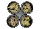 Mail Order Marijuana Canada – Shop Online Now