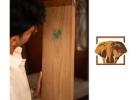  Buy Premium Burma Teak Wood in Chennai – Best Price Guaranteed!