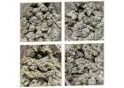 Trusted Cannabis Delivery in Canada – Order Today