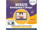 website development company in kerala