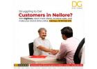 Best Digital Marketing Solutions for Local Businesses in Nellore