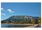 Thinking of Selling Your Property in Denia? Let Hamiltons of London Help!