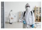 Get Rid of Rats & Mice – Trusted Rodent Control in Richmond, TX