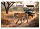 Jaipur And Ranthambore Tour Package Explore Palaces