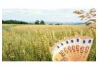 Prêt bancaires d'investissement pour les  producteurs agricoles 
