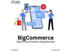 Reliable BigCommerce Product Data Entry Services