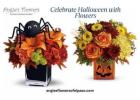 Boo-tiful Bouquets: Celebrate Halloween with Flowers!