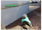 Arizona Termite & Pest Solutions – Reliable Pest Control in Gilbert AZ