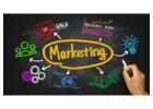 Enroll in the Most Powerful Digital Marketing Course to Boost Your Career & Business Growth