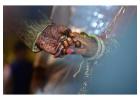 wedding Photography in Bangalore