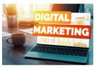  Learn with the Best Digital Marketing Course in Jalandhar