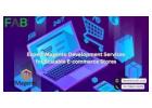 Professional Magento Development Services for Scalable E-commerce Solutions