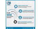 Meet the Professional Ecommerce Website Developers to Create Better Business Websites 