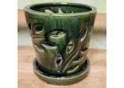 Orchid Pots: Optimal Containers for Thriving Orchid Roots