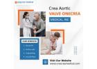 Crea Aortic Valve - Onecrea Medical, Inc
