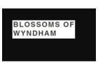 Flower Bouquet Point Cook - Blossom of Wyndham