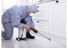 Reliable Residential Pest Control Services Vancouver Homeowners Trust