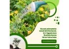 Sustainable and Efficient Irrigation Solutions Worldwide | Irri Design Studio